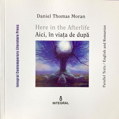 Here in the Afterlife Cover